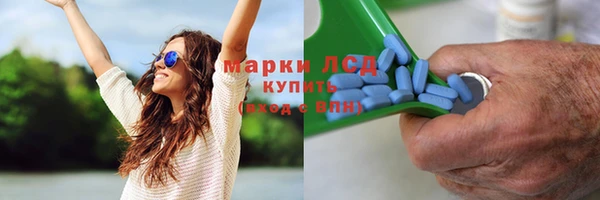 apvp Медногорск
