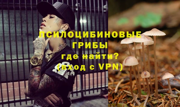 apvp Медногорск