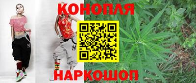прущие грибы Волжск