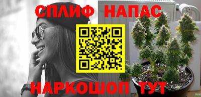 крисы Волгодонск