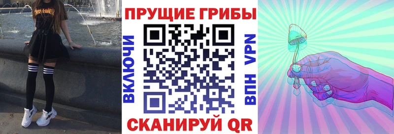 что такое наркотик  кракен tor  Галлюциногенные грибы мицелий  Нефтекумск 