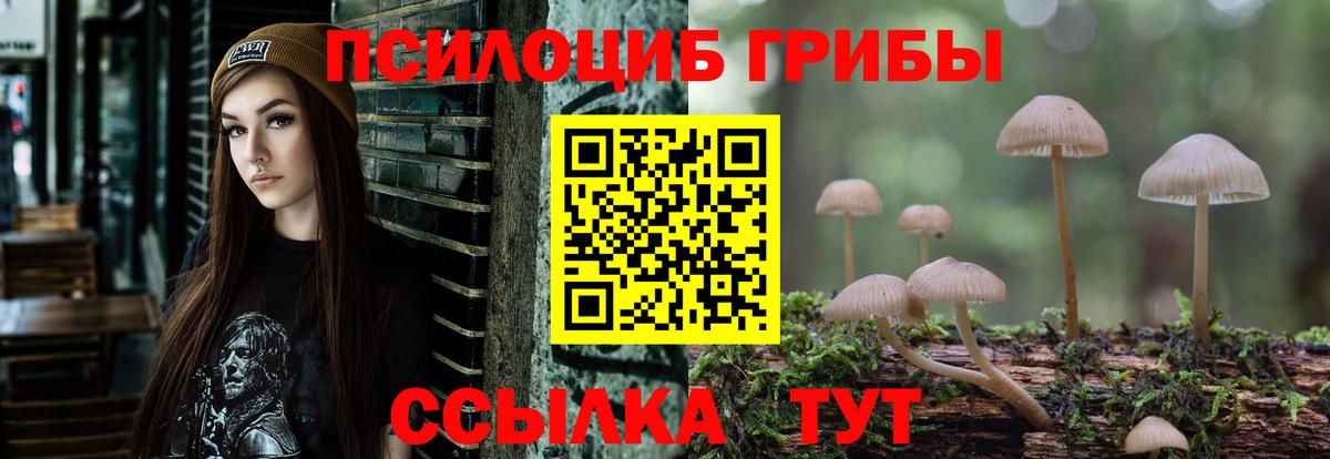Нефтекумск  Псилоцибиновые грибы GOLDEN TEACHER  Вход с VPN 