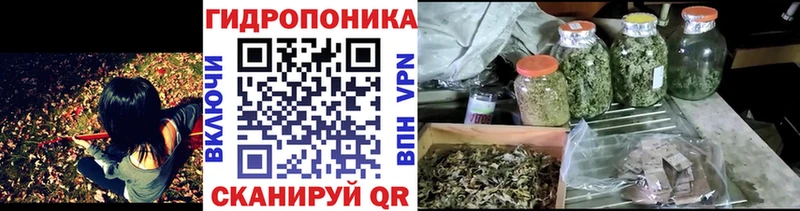 Канабис индика  hydra вход  Нефтекумск 